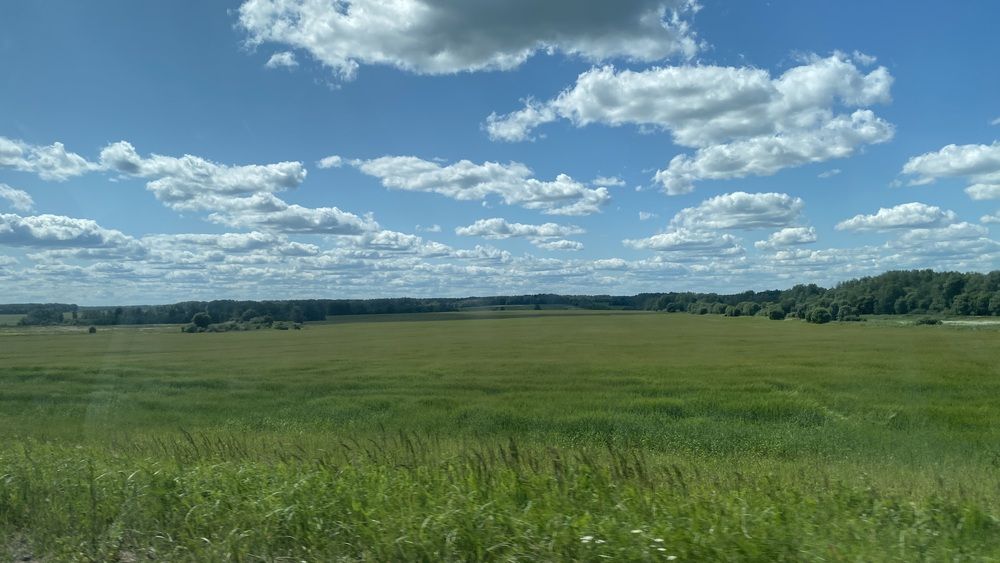 Photograph by Ольга Столярова