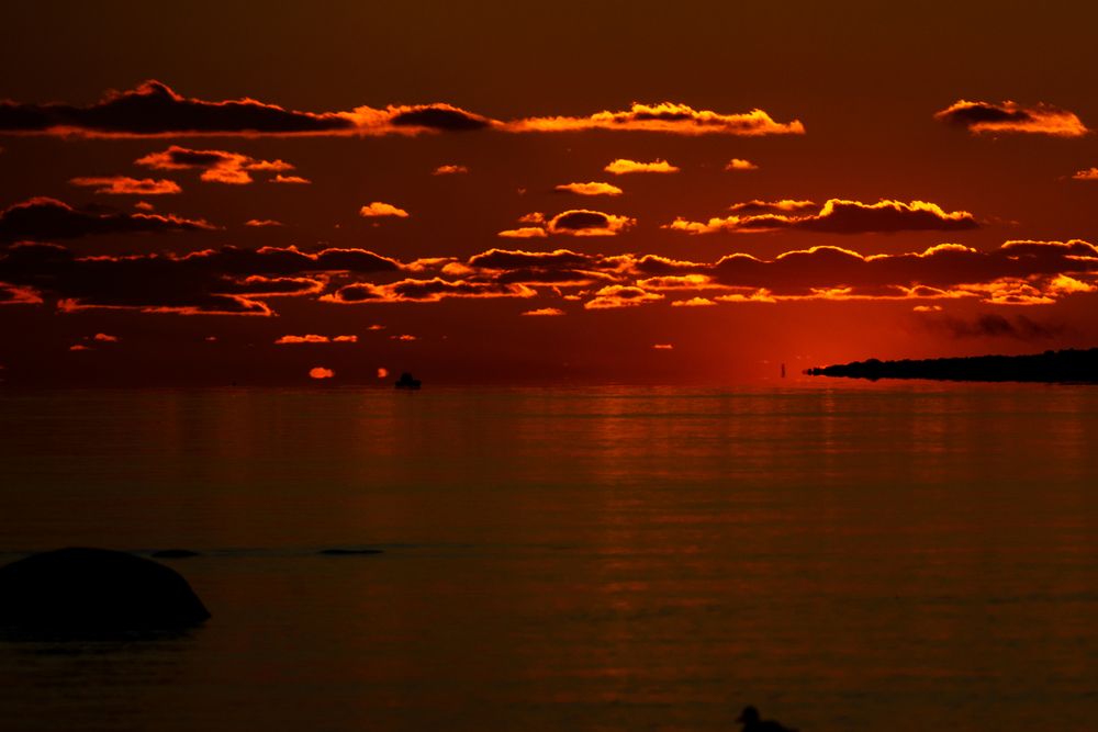 Photograph by Владимир Рогулькин