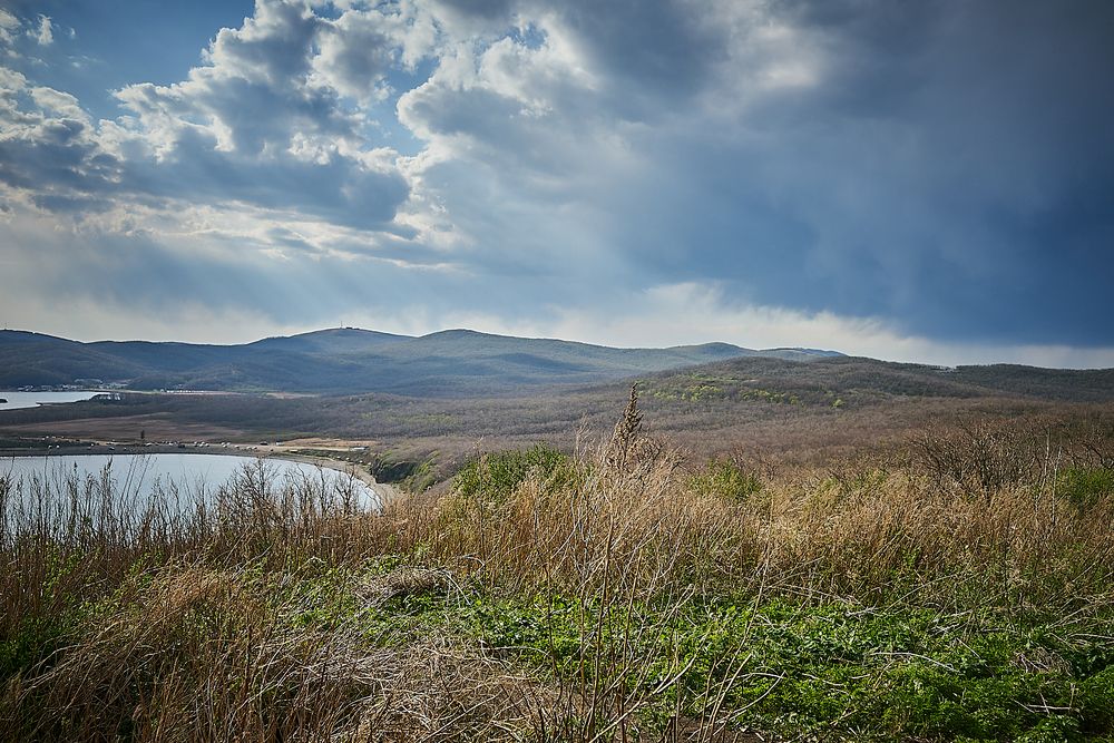 Photograph by Лариса Н