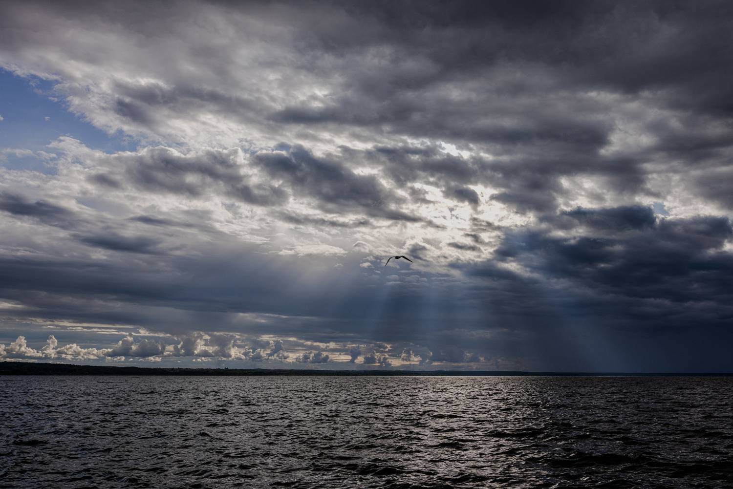 Photo #13743075