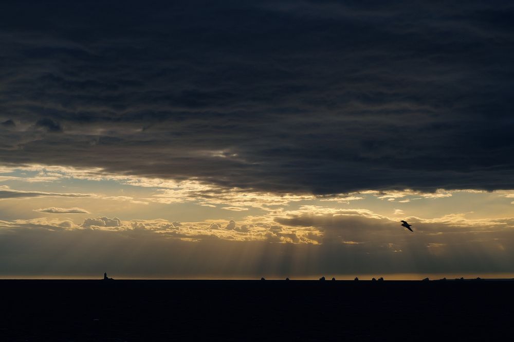 Photo #13743148