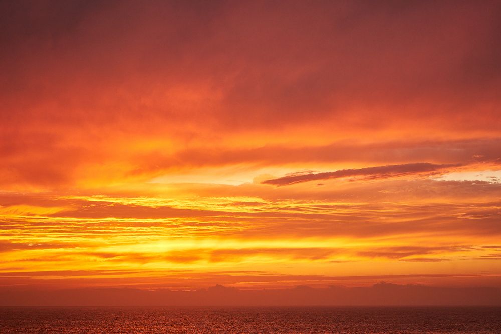 Photograph by Лариса Н
