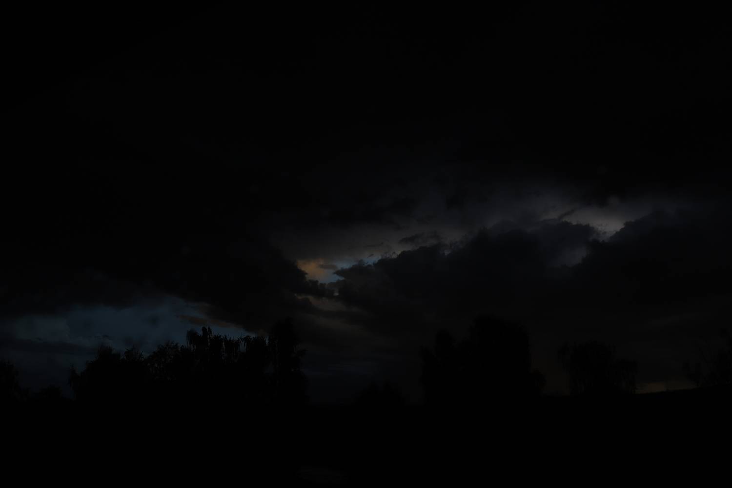 Photo #13743250