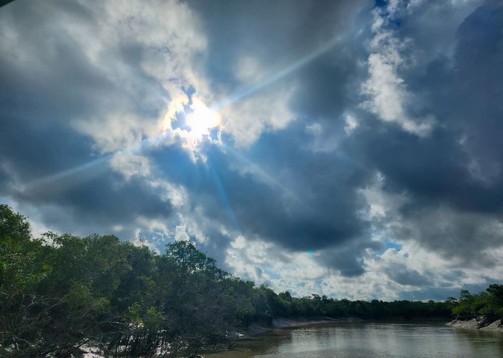 Photograph by Irene Chattopadhyay
