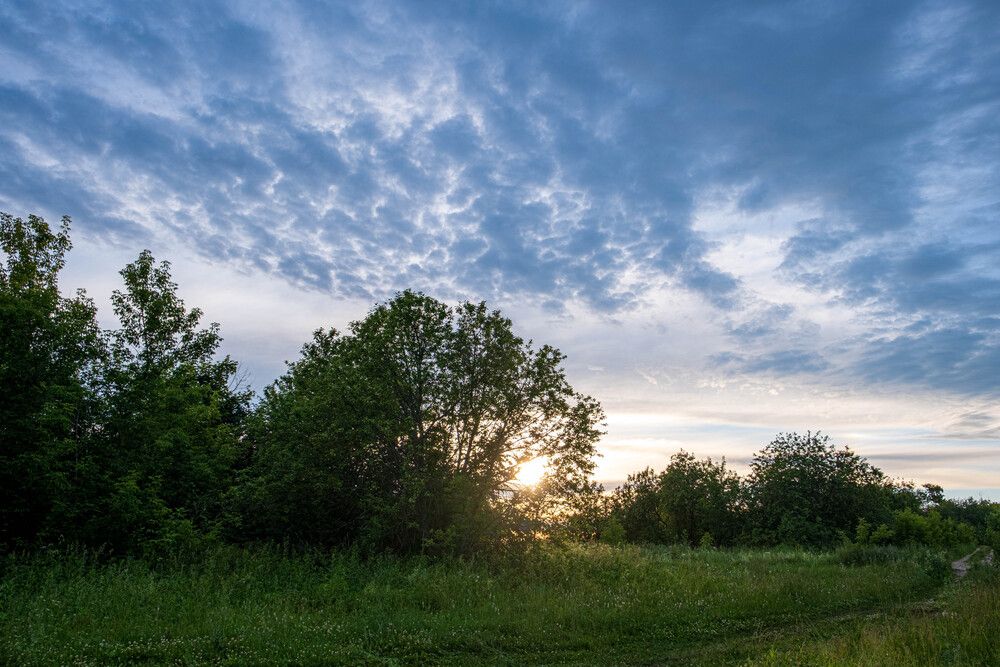 Photograph by Альберт Габбасов