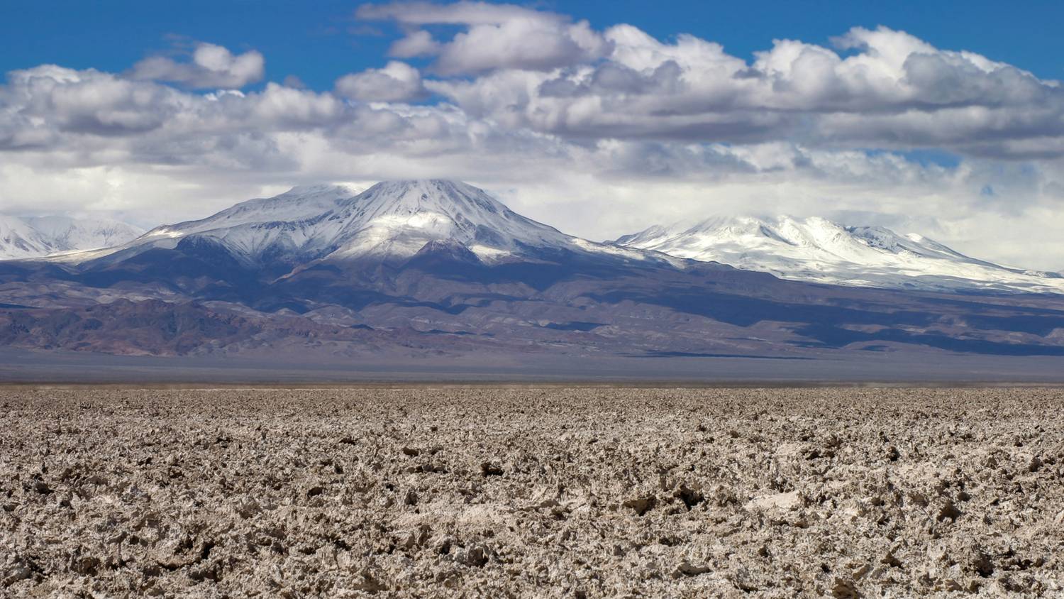Photo #13743285