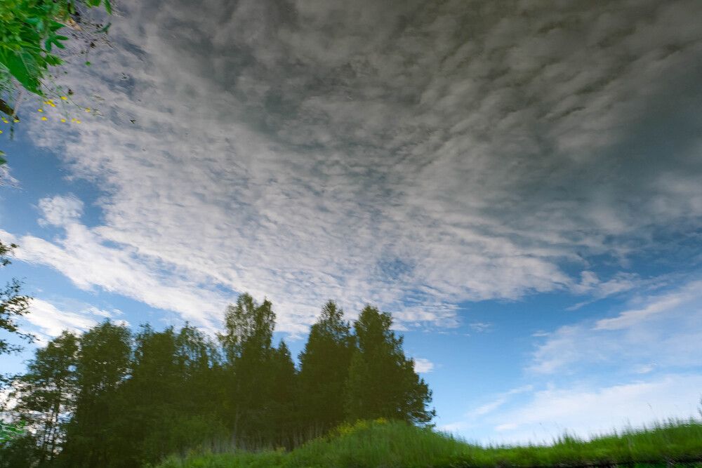 Photograph by Альберт Габбасов