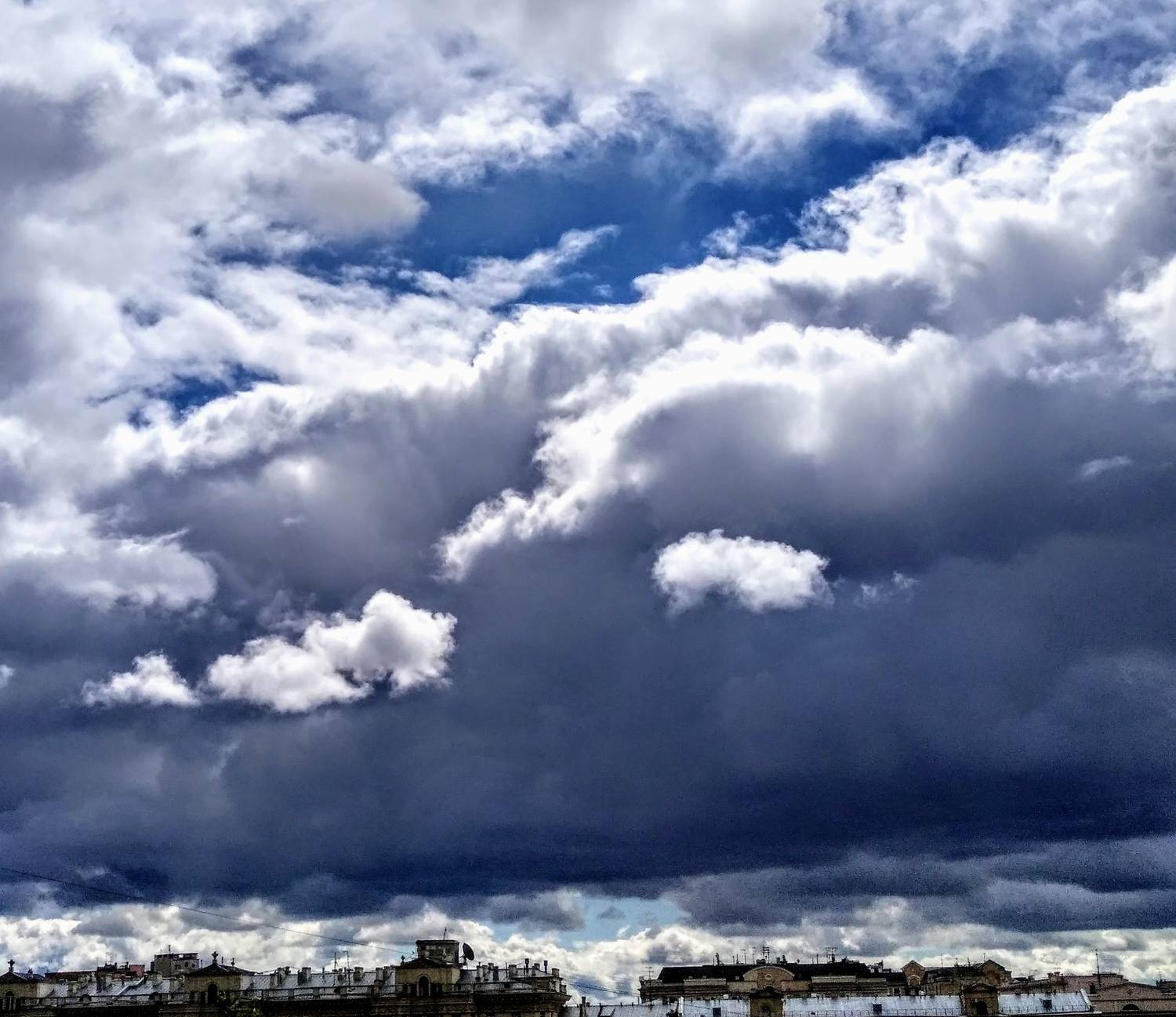 Photo #13743305