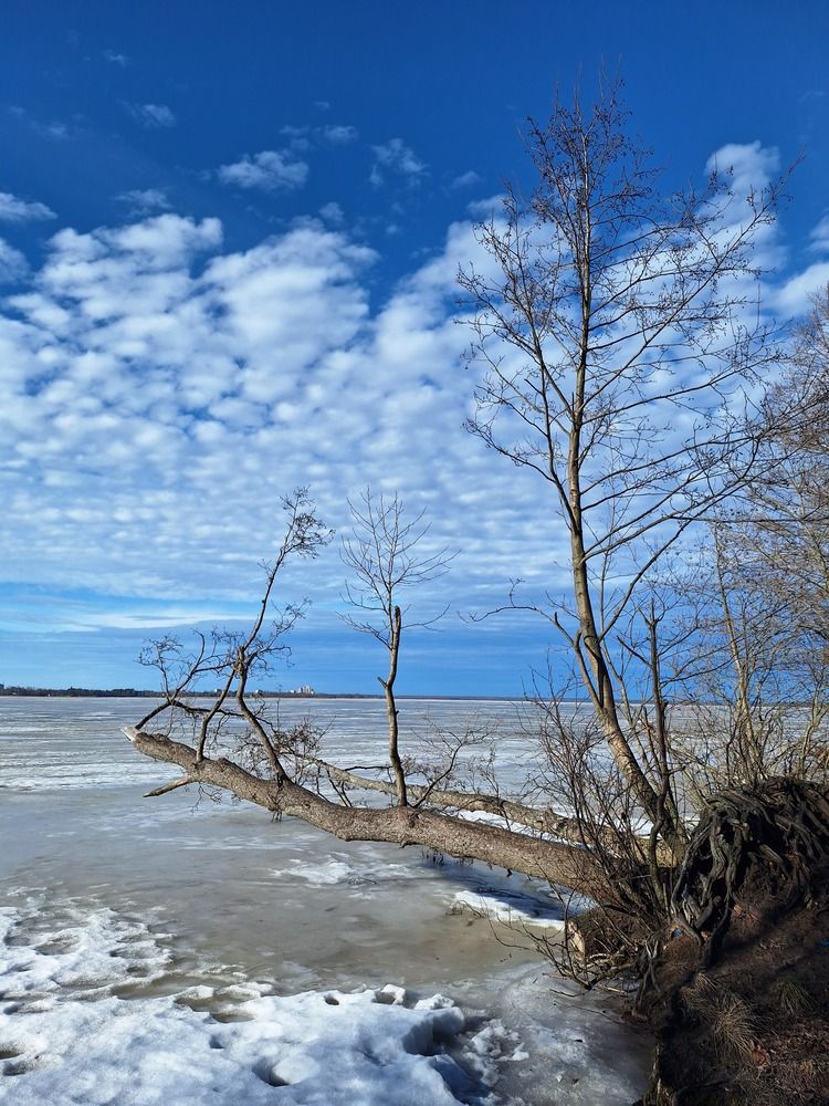 Photograph by Ольга Мольдон