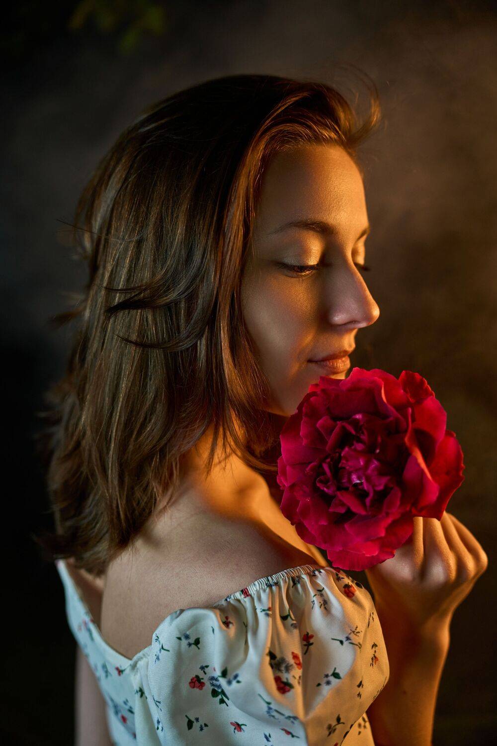 Wild rose
