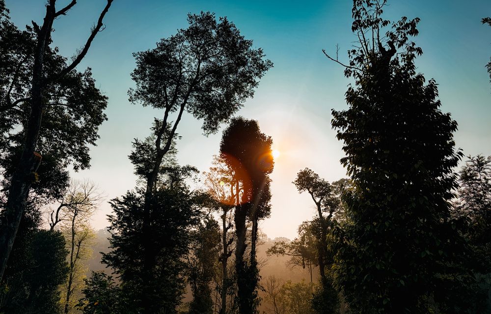 Nature