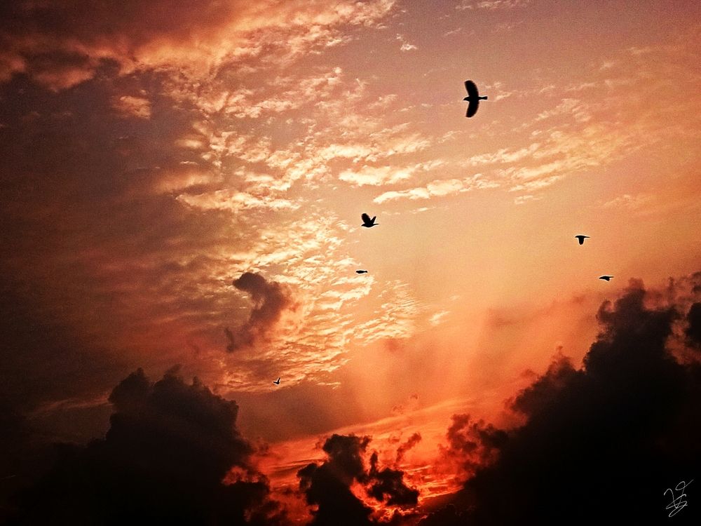 Photograph by VANDNA SINGH