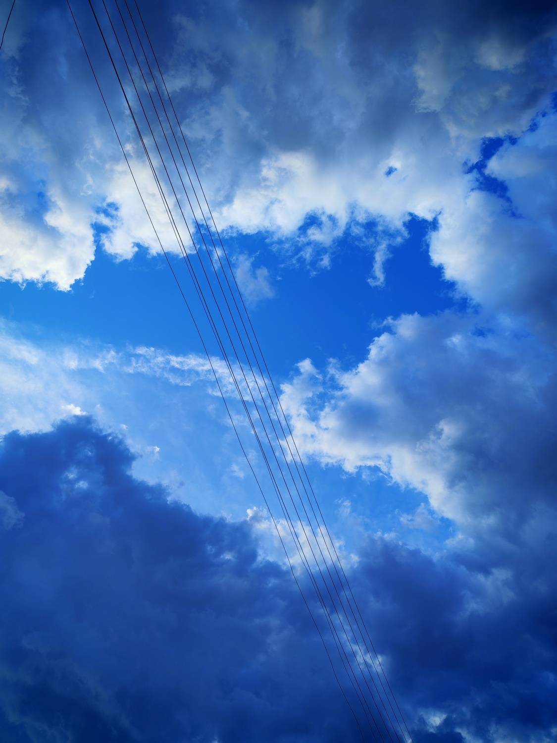 Photo #13743509