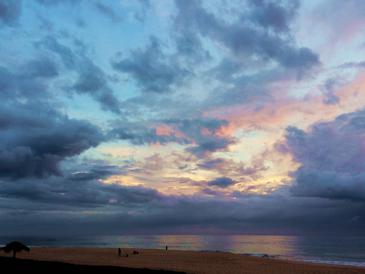 Photo #13743526
