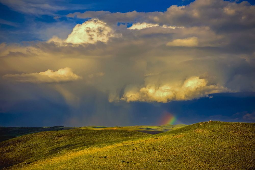 Photograph by Владимир Акиньшин