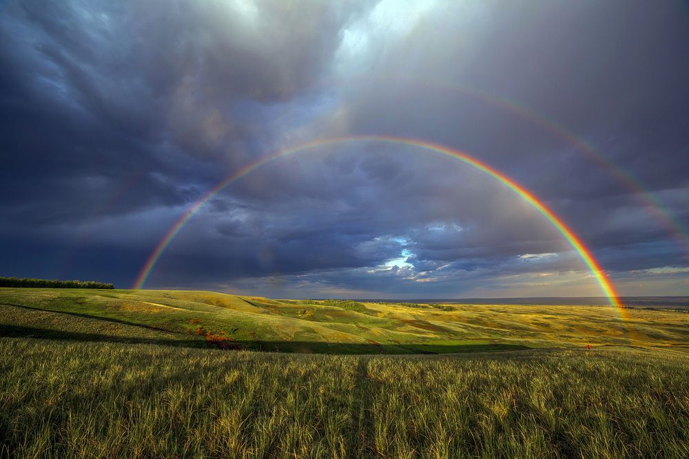 Photograph by Владимир Акиньшин
