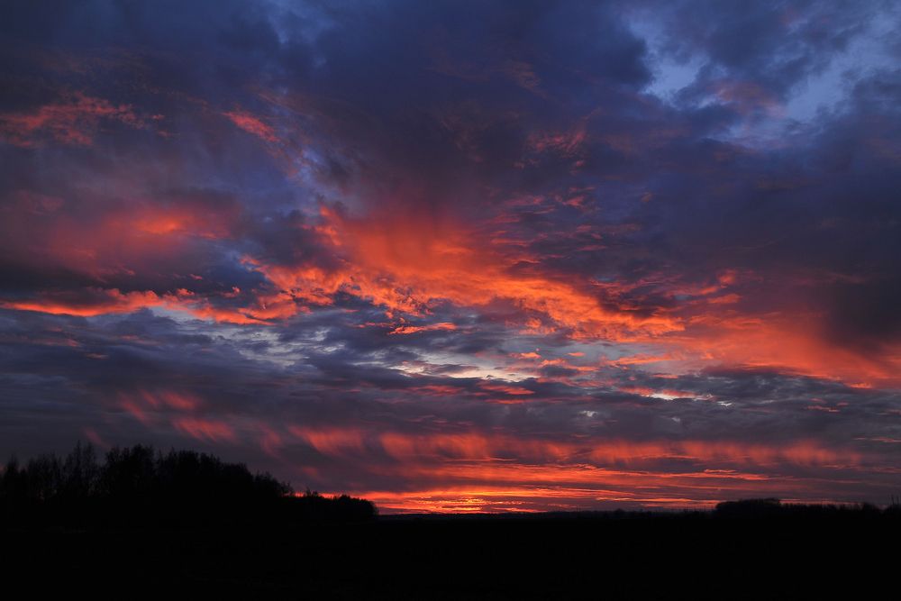 Photograph by Cергей Абакумов