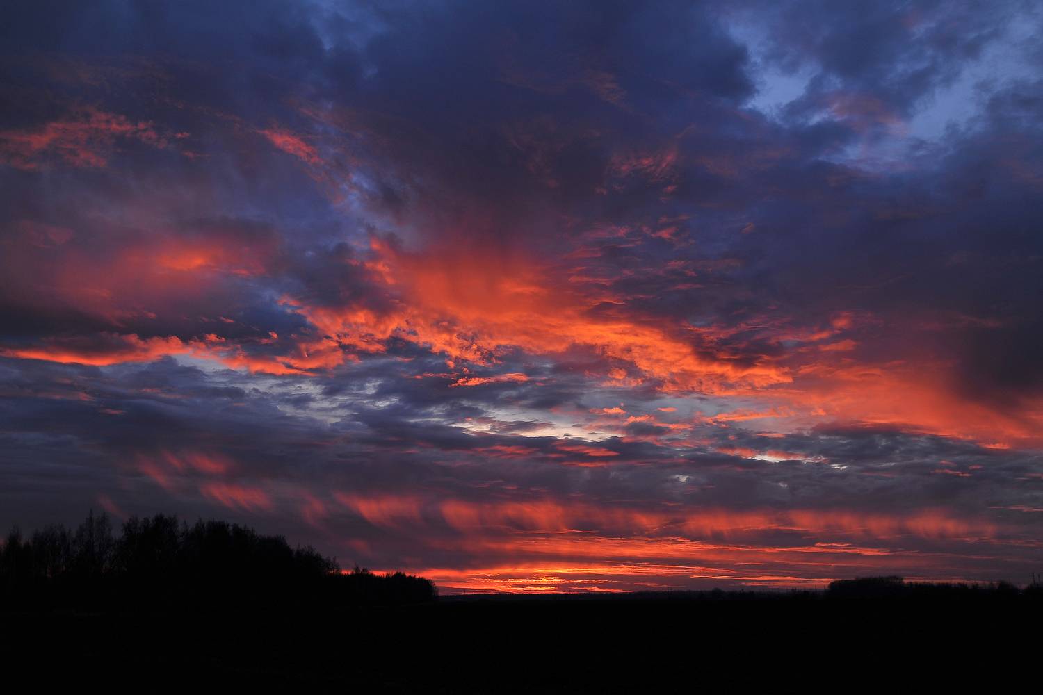 Photo #13743558