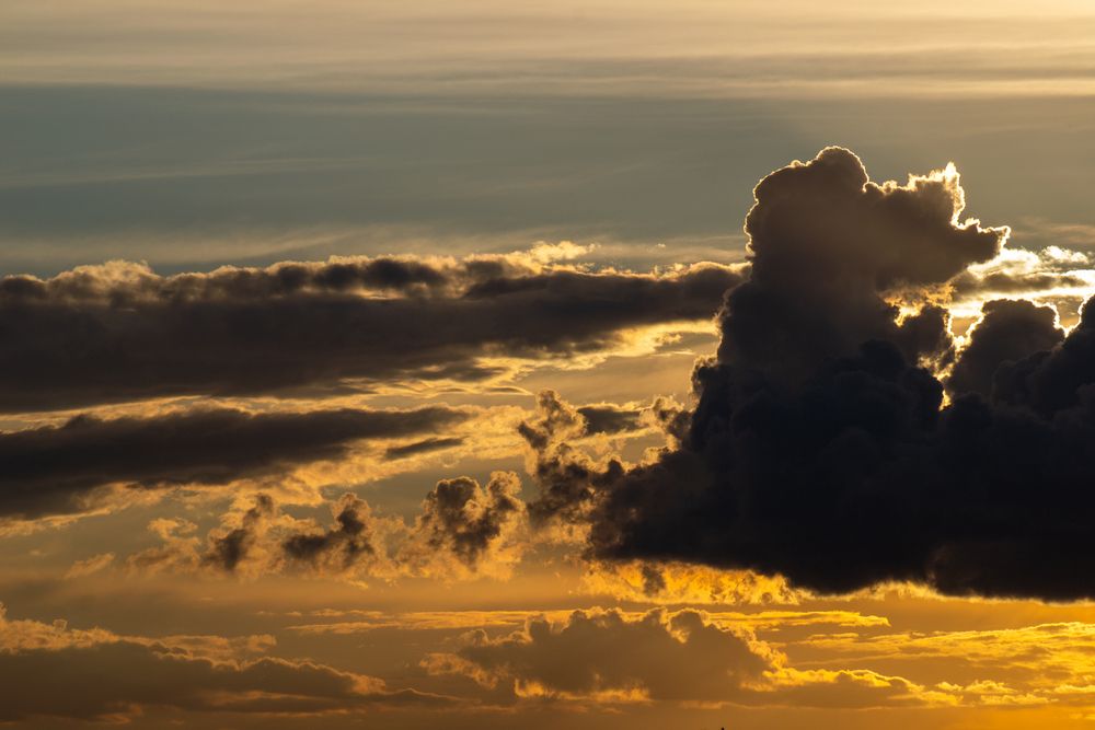 Photo #13743596