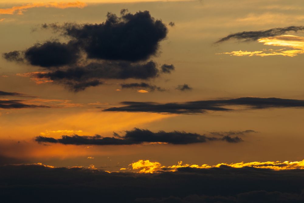 Photo #13743598