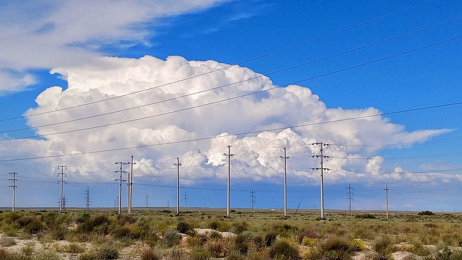 Photo #13743606