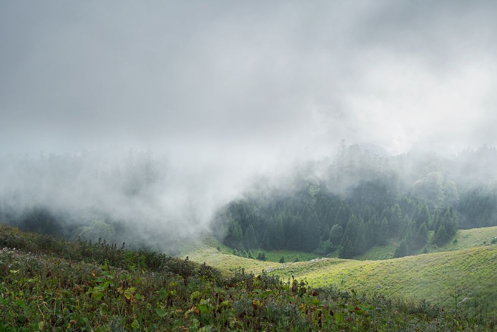 Photograph by Юлия Козельских