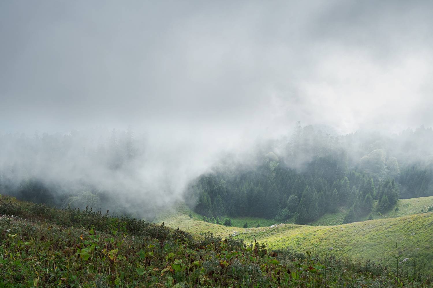 Photo #13743652
