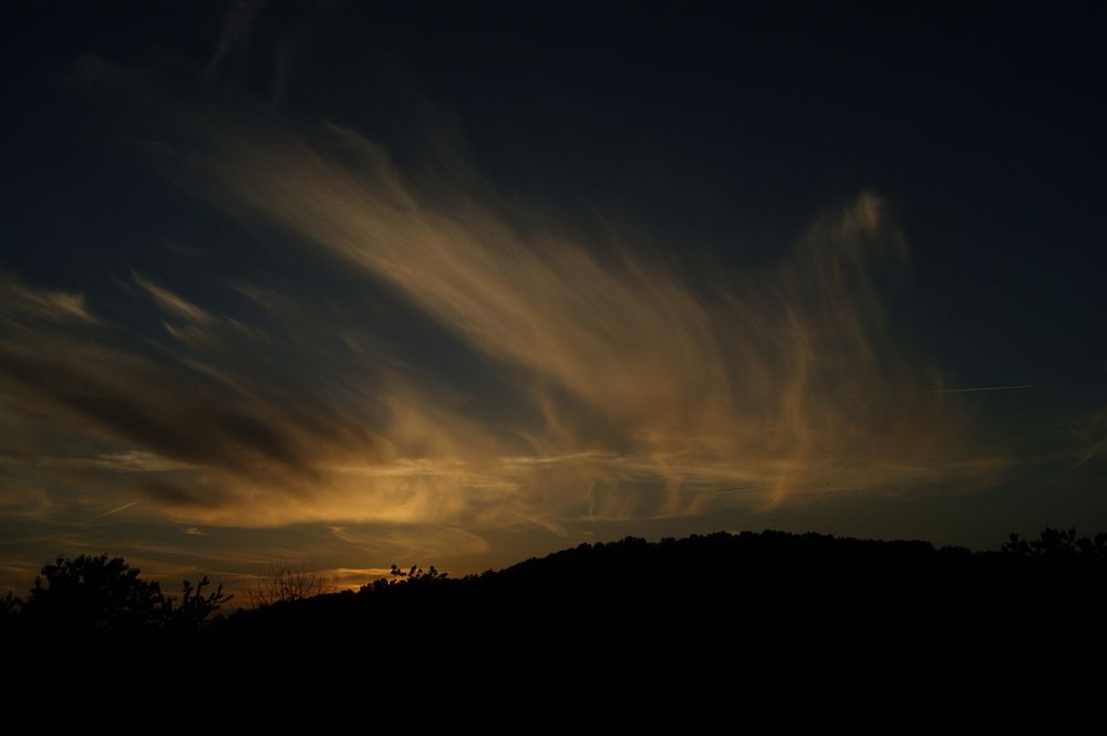Photograph by Sergej Roor