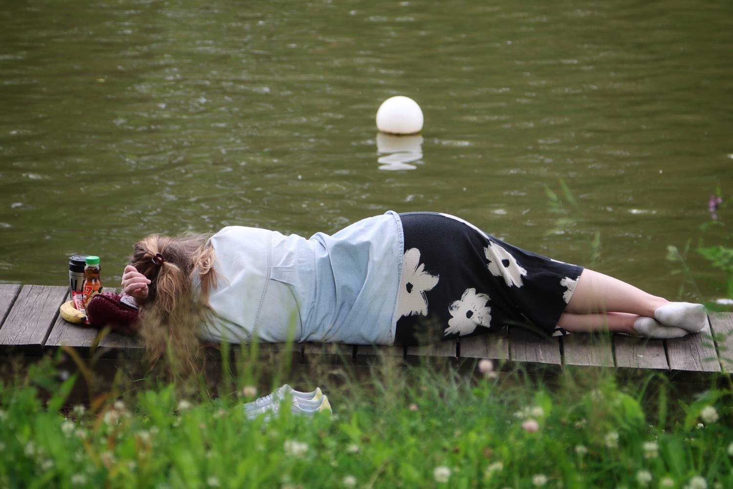 Photo #13743688