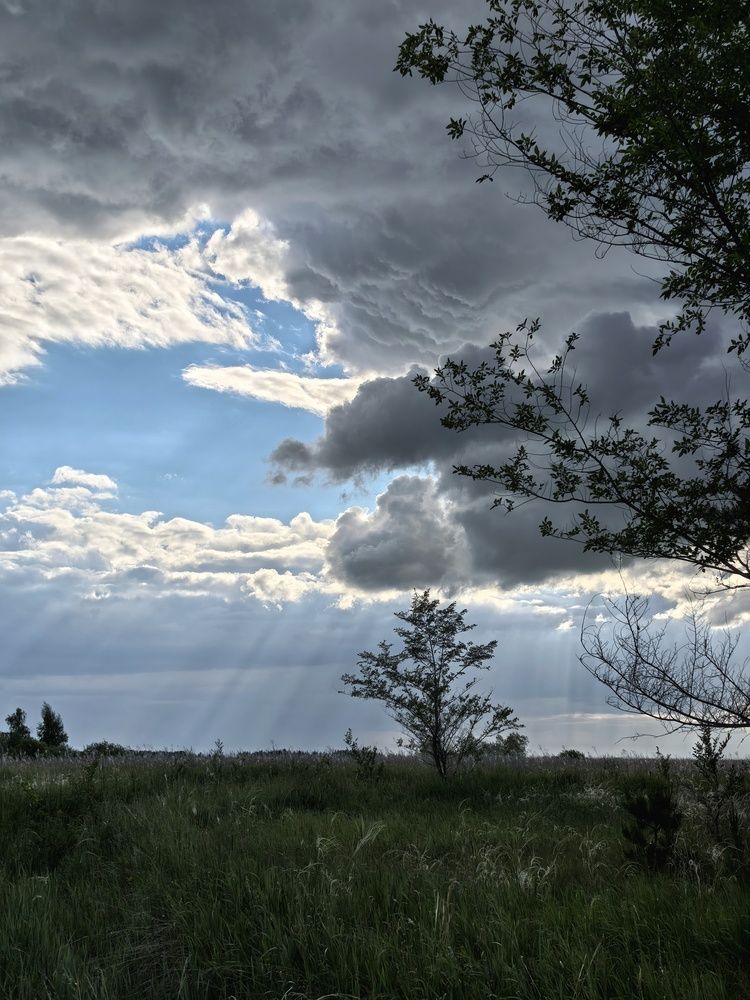 Photograph by Анна Якубинас