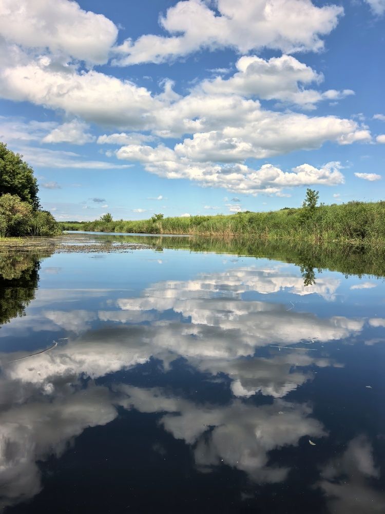 Photograph by Анна Якубинас