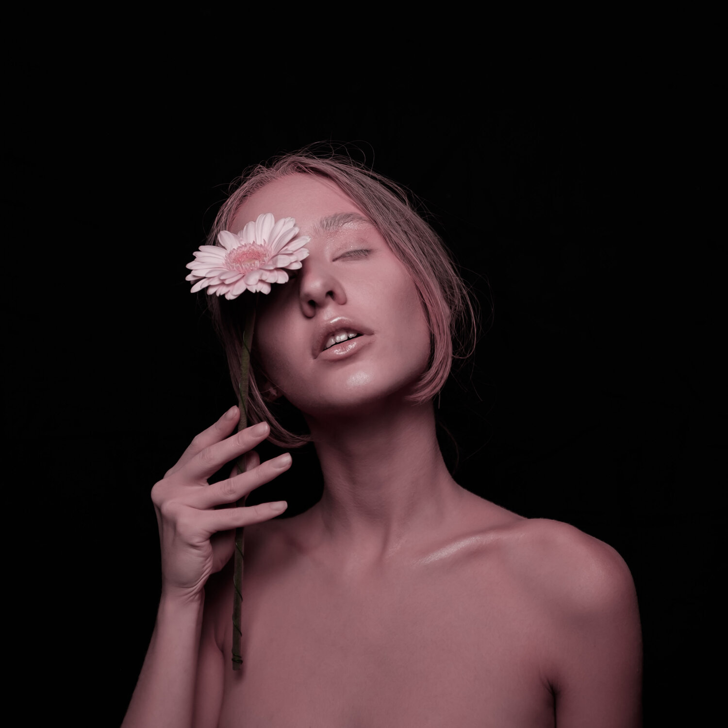 Photo #13743705
