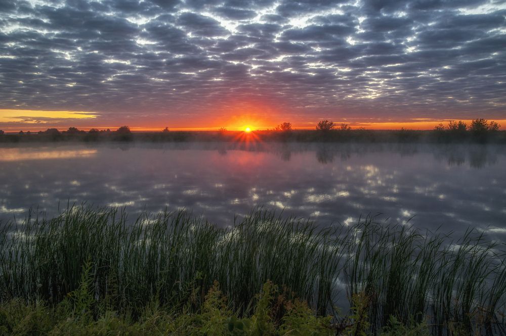 Photograph by АНДРЕЙ АБАКУМОВ
