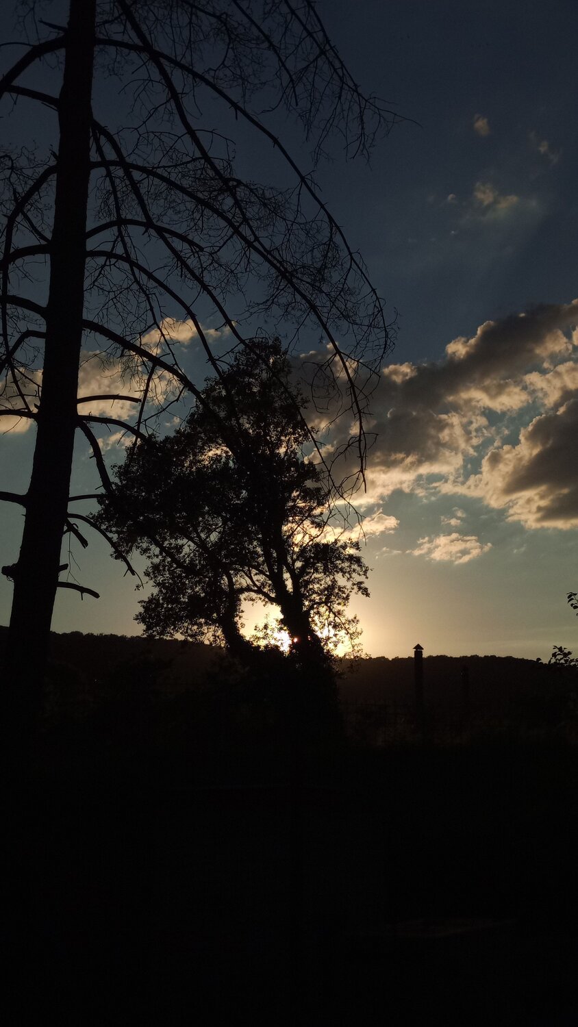 Photo #13743775