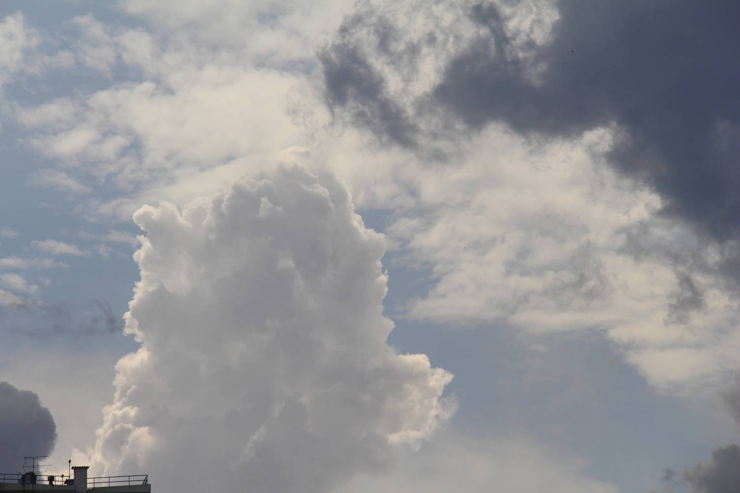 Photo #13743822