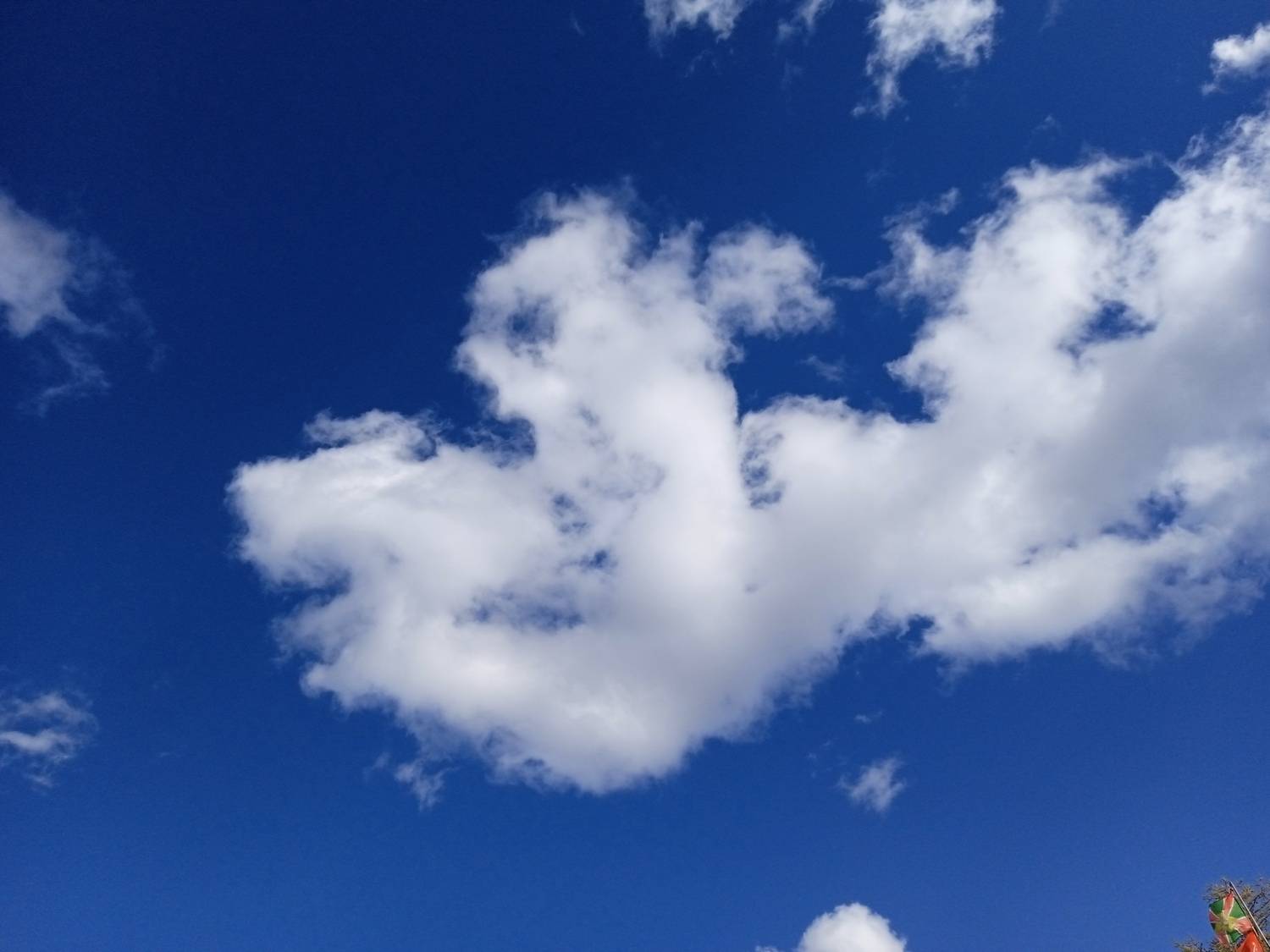 Photo #13743936