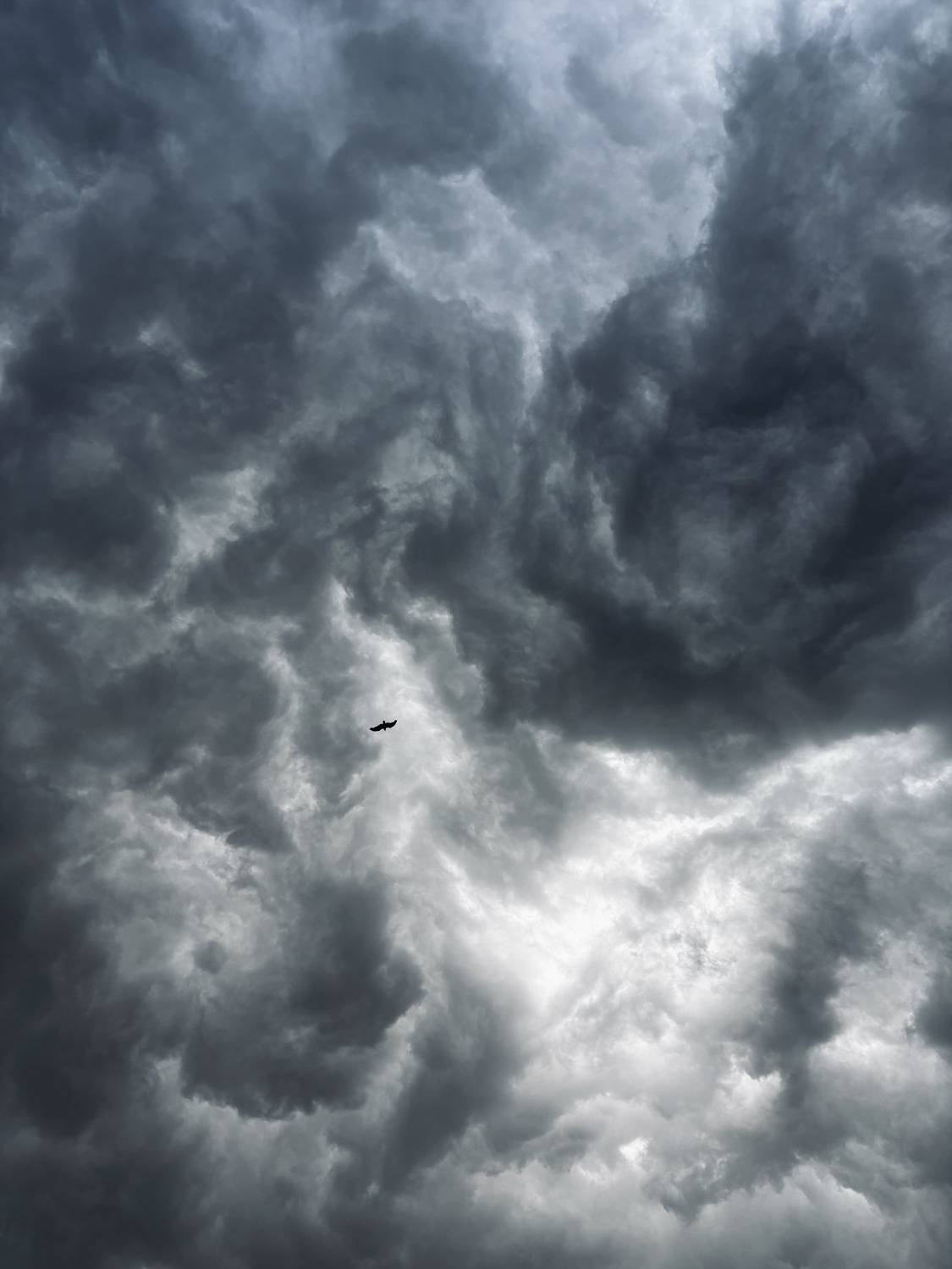 Photo #13744042