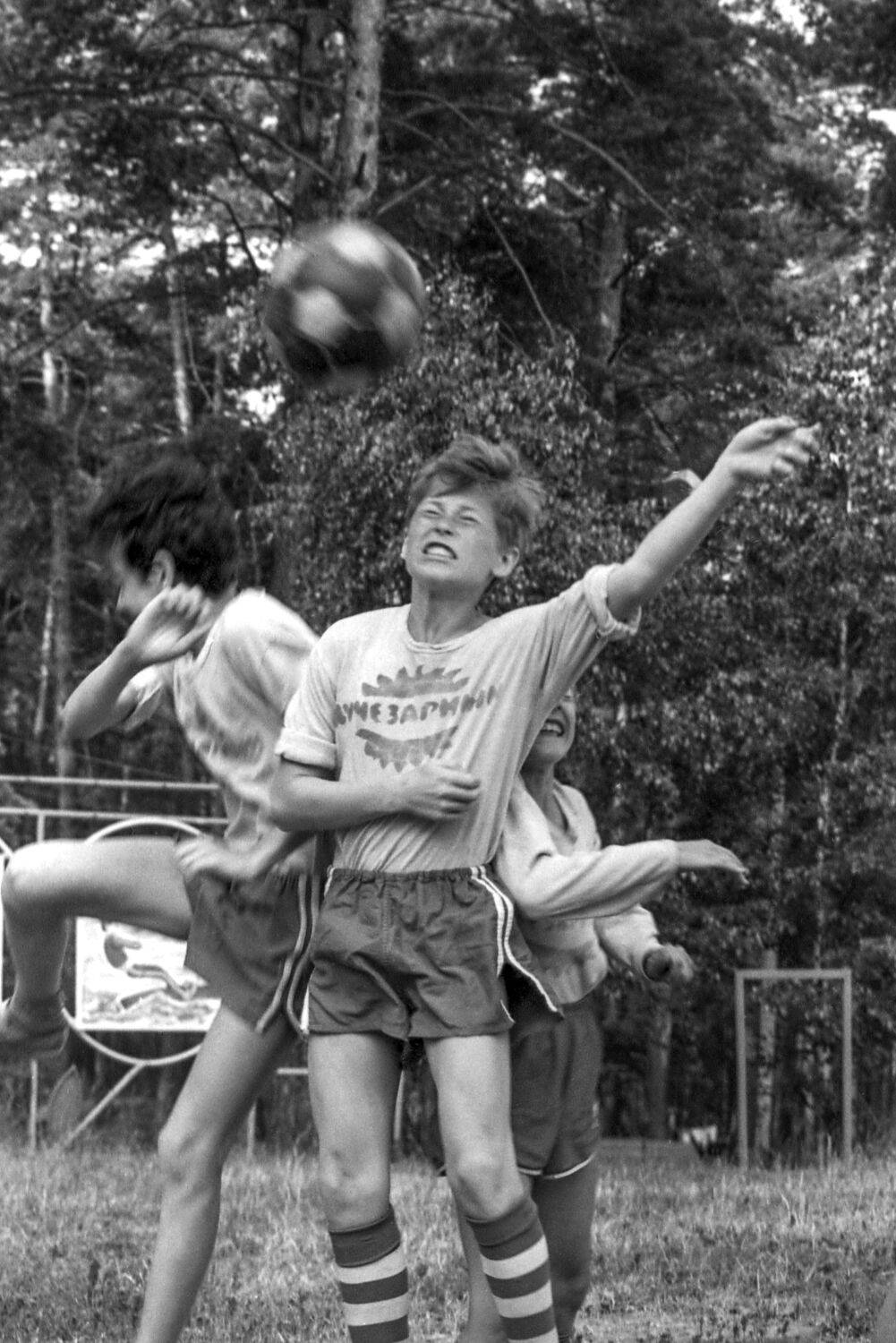 Photo #13744071