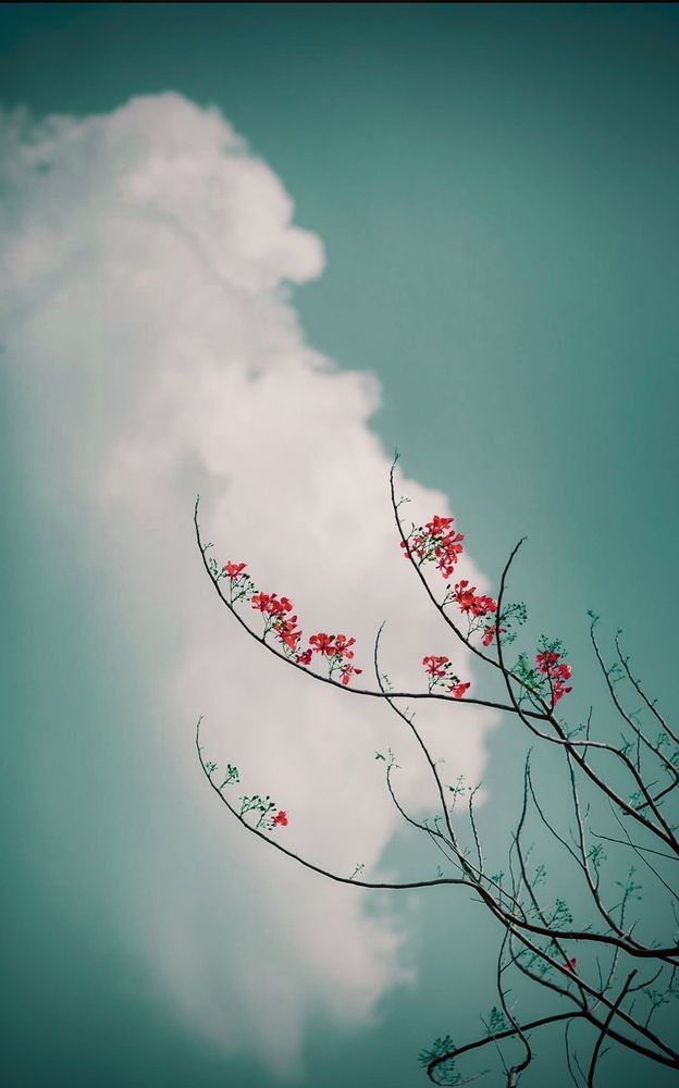 Photograph by Anna Krivorucko