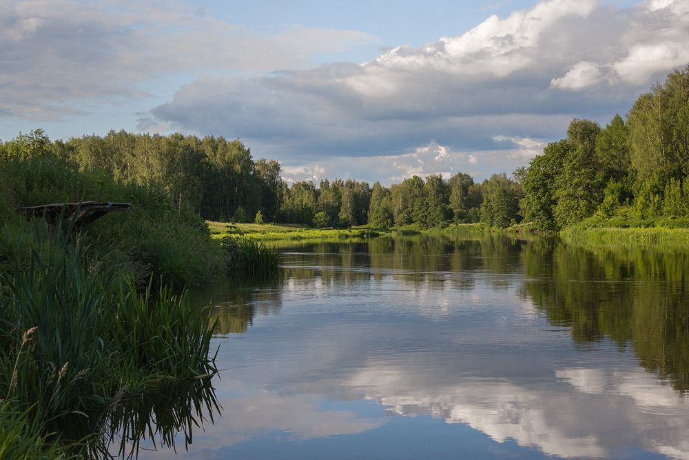 Photograph by Rimma Larkina