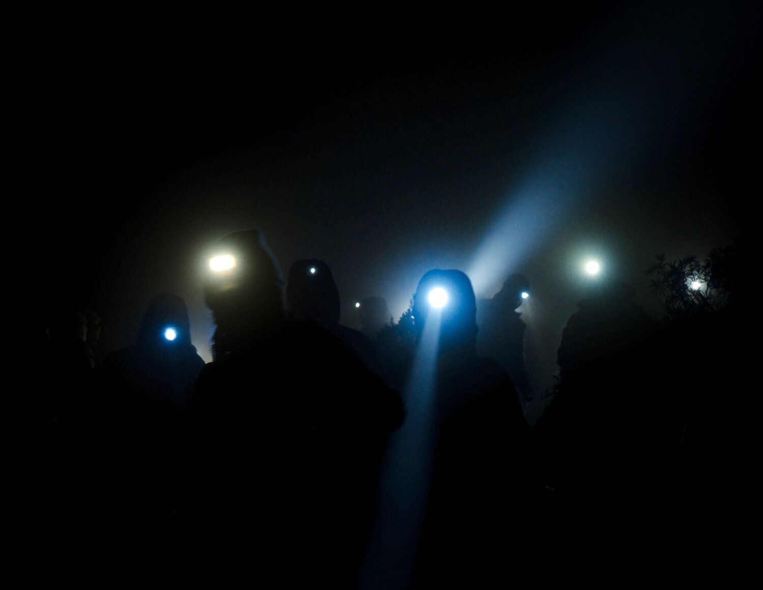 Photo #13744254