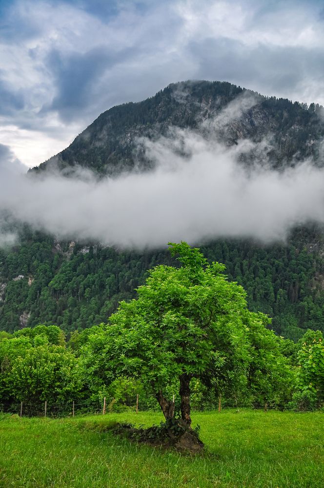 Photograph by Dmitry
