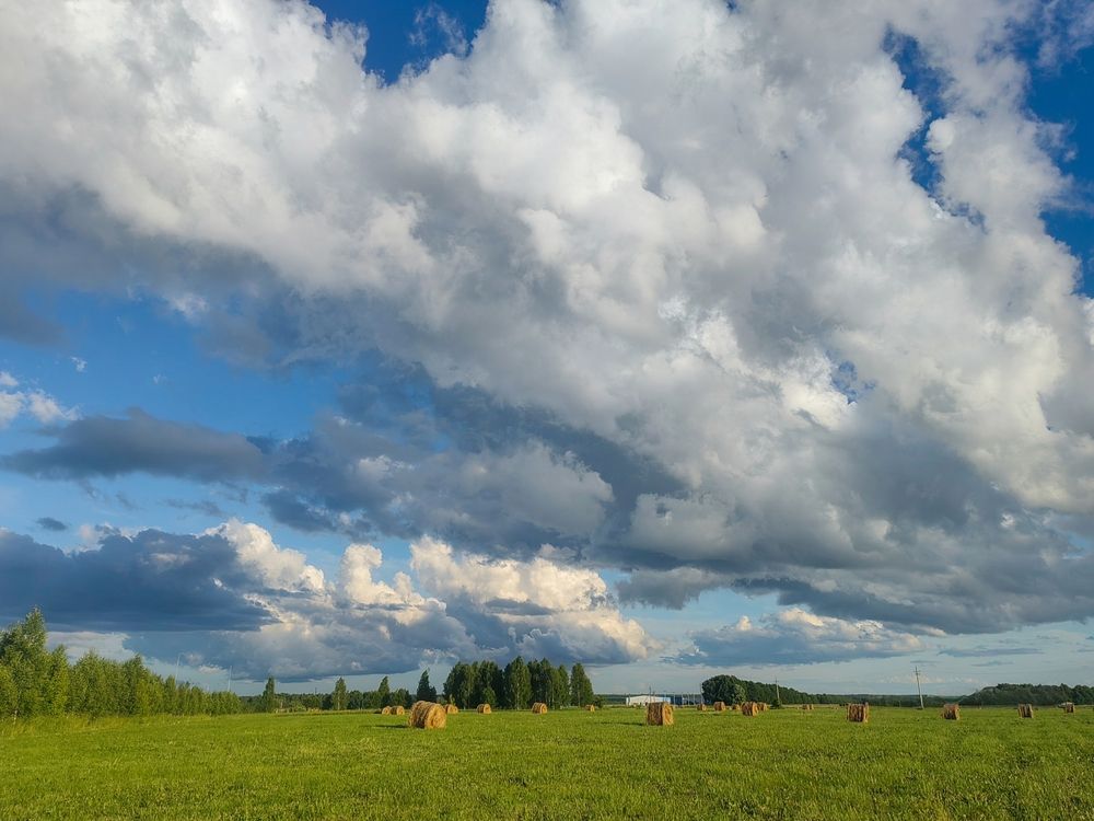 Photograph by Мария Самохвалова