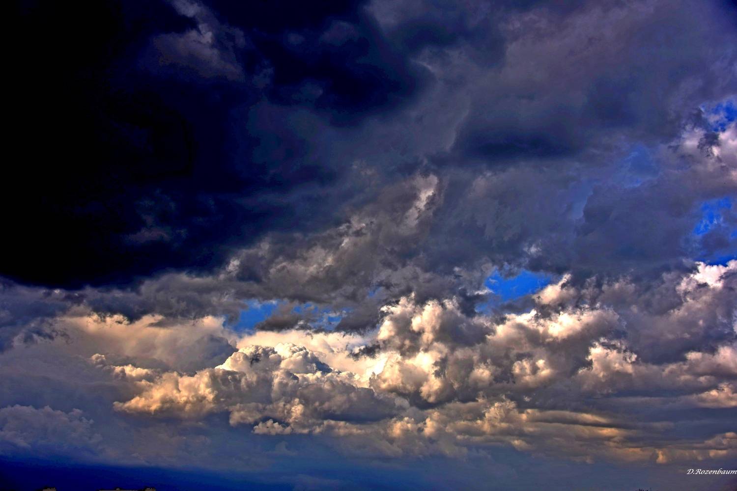Photo #13744319
