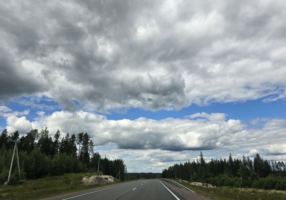 Фотография автора Татьяна Дмитриева