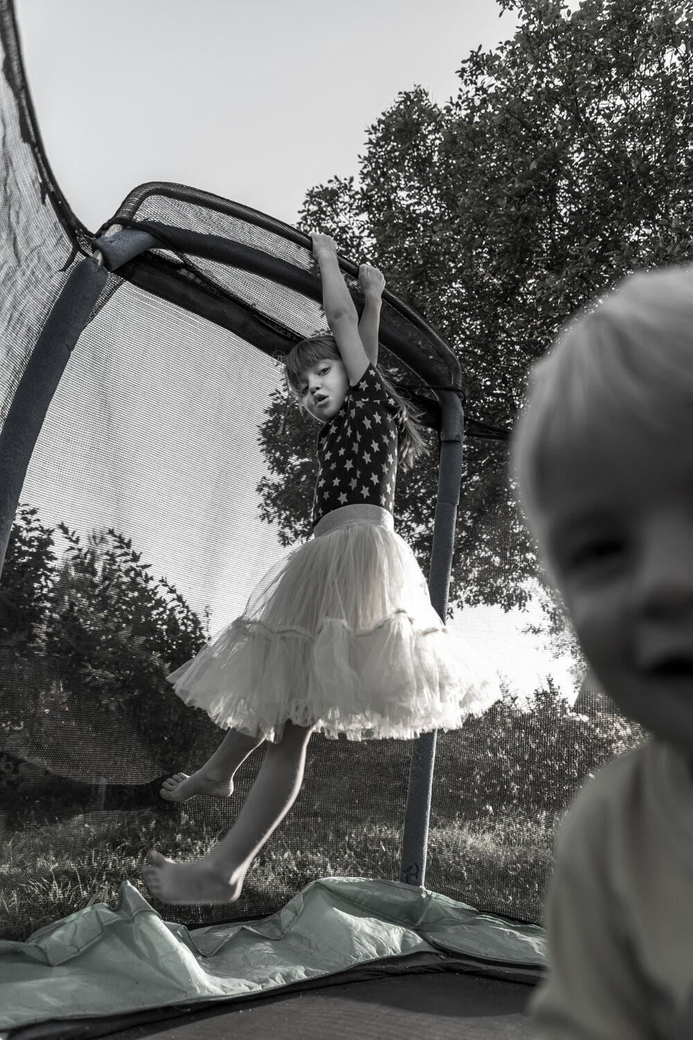 Photo #13744335