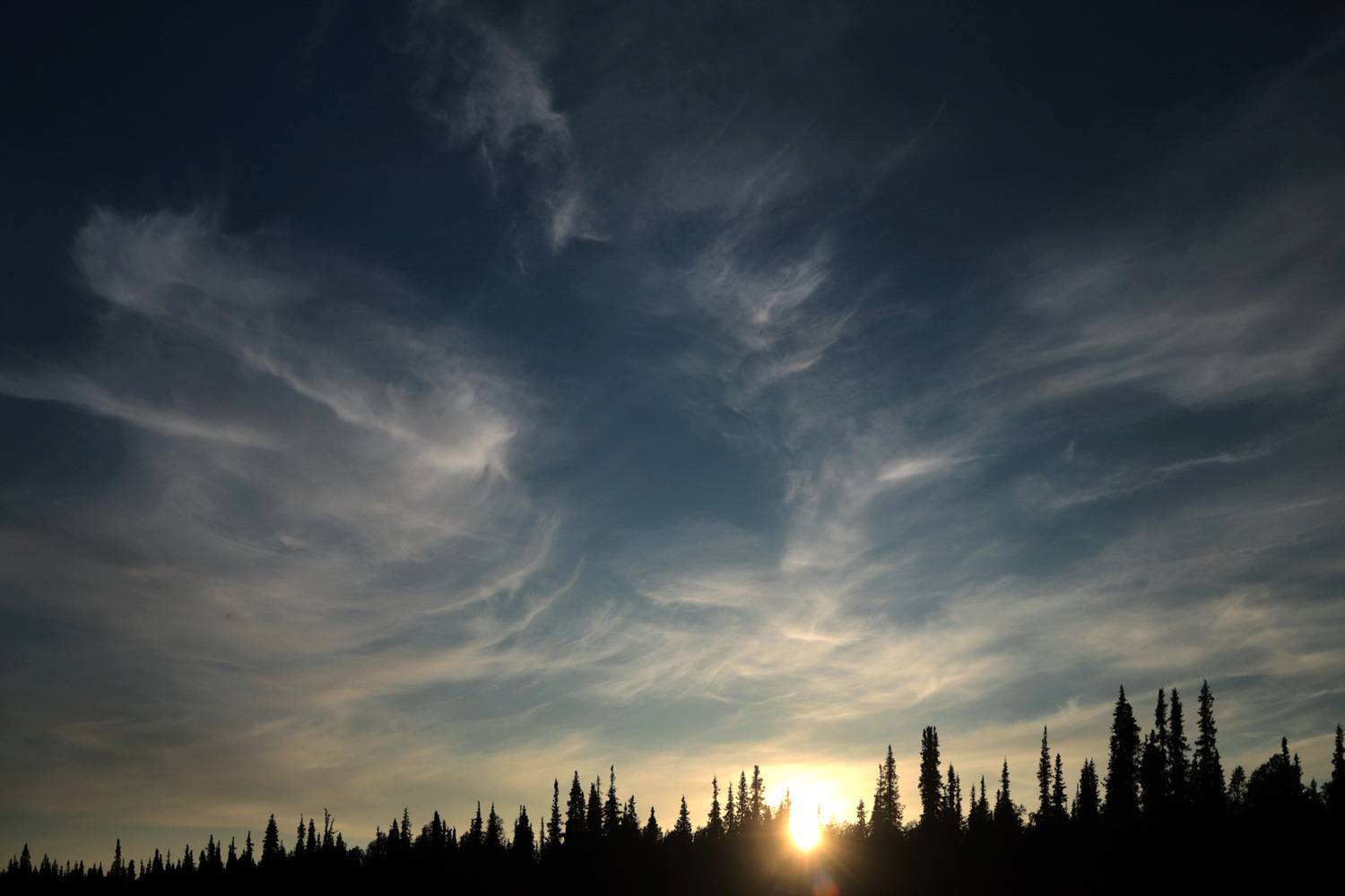 Photo #13744340