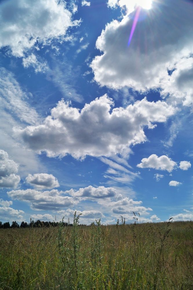 Photograph by Любовь Марова