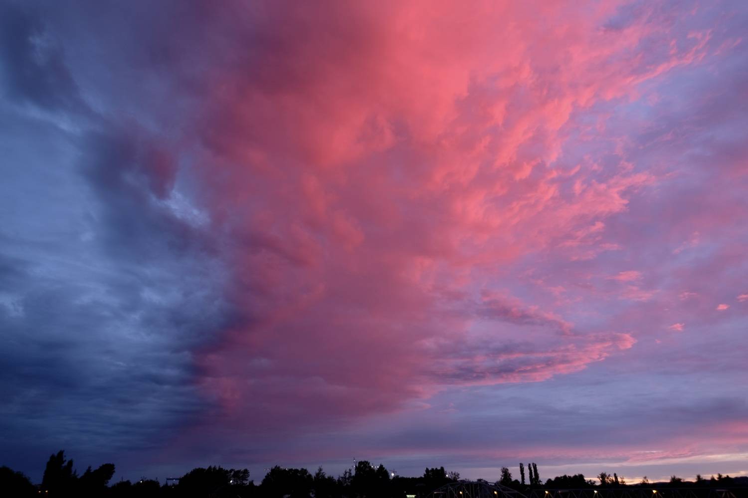 Pink explotion
