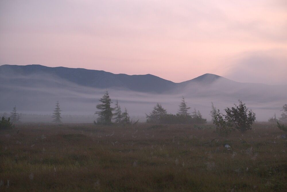 Photograph by Хазан Сергей